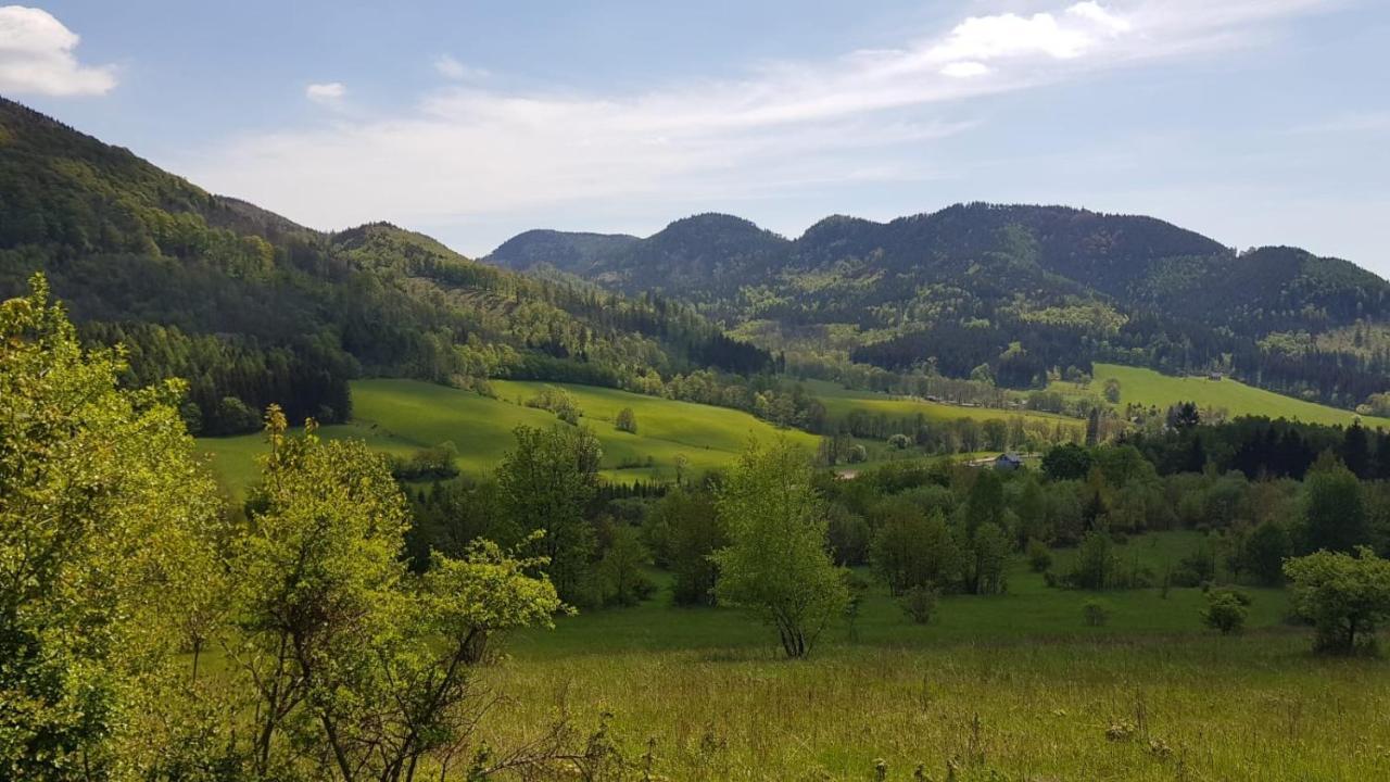 Sloneczne *