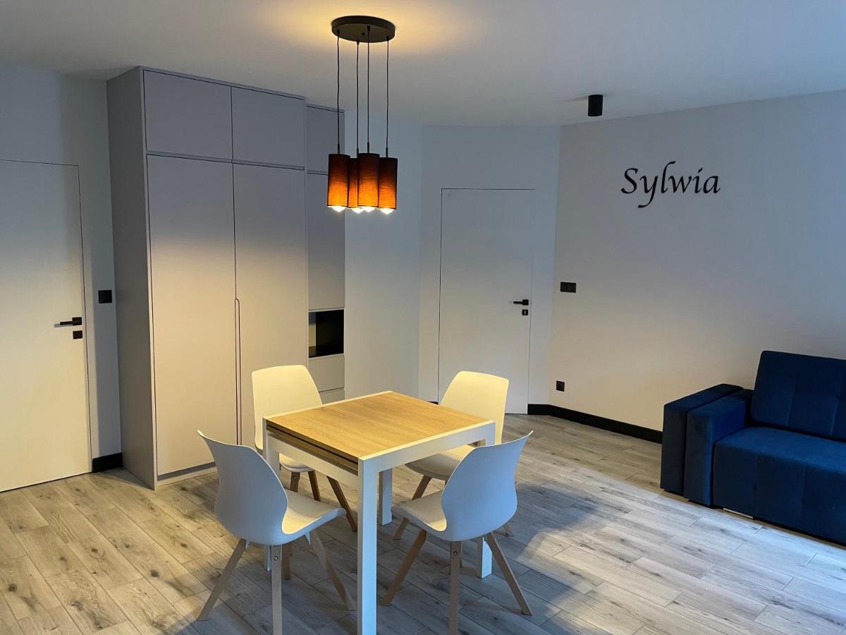 Sloneczne Apartment